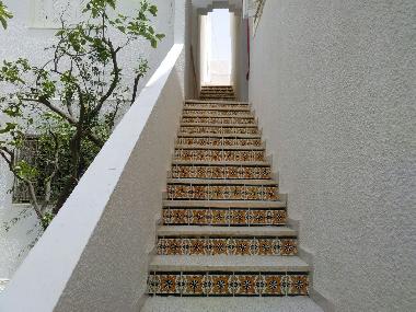 Holiday Apartment in Hammamet (Nabul) or holiday homes and vacation rentals
