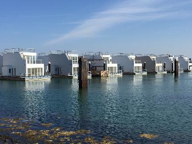 Holiday House in OstseeResort Olpenitz (Ostsee-Festland) or holiday homes and vacation rentals