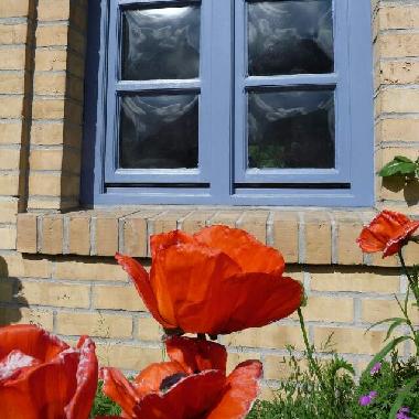 Holiday House in Sieverstedt (Ostsee-Festland) or holiday homes and vacation rentals