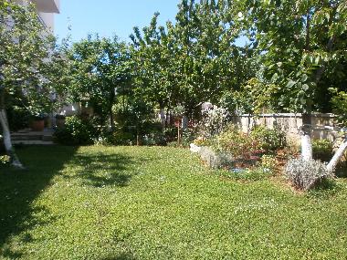 Holiday Apartment in Rovinj (Istarska) or holiday homes and vacation rentals