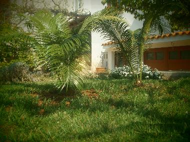 Holiday Apartment in Rovinj (Istarska) or holiday homes and vacation rentals