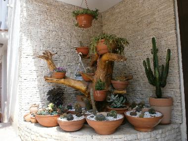 Holiday Apartment in Rovinj (Istarska) or holiday homes and vacation rentals