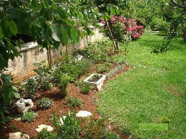 Holiday Apartment in Rovinj (Istarska) or holiday homes and vacation rentals