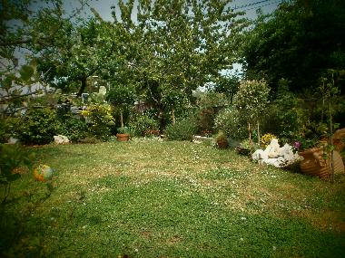 Holiday Apartment in Rovinj (Istarska) or holiday homes and vacation rentals