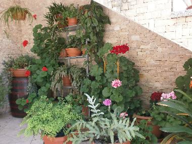 Holiday Apartment in Rovinj (Istarska) or holiday homes and vacation rentals