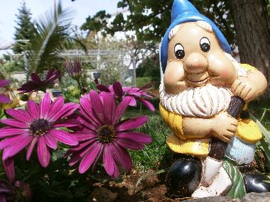 Holiday Apartment in Rovinj (Istarska) or holiday homes and vacation rentals