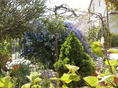 Holiday Apartment in Rovinj (Istarska) or holiday homes and vacation rentals