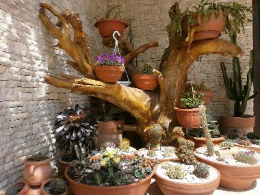 Holiday Apartment in Rovinj (Istarska) or holiday homes and vacation rentals