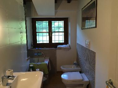 Holiday House in Arezzo (Arezzo) or holiday homes and vacation rentals