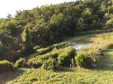 Holiday House in Arezzo (Arezzo) or holiday homes and vacation rentals