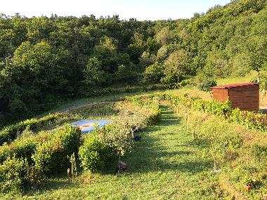 Holiday House in Arezzo (Arezzo) or holiday homes and vacation rentals