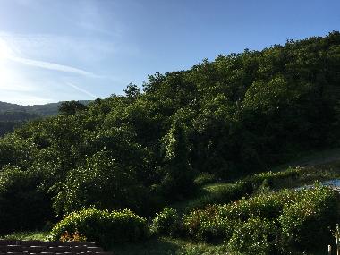 Holiday House in Arezzo (Arezzo) or holiday homes and vacation rentals