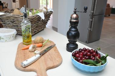 Holiday house Villa Tijara, Croatia