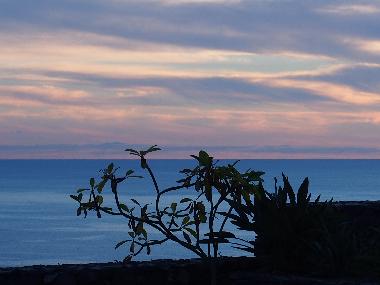 Holiday Apartment in ACANTILADO DE LOS GIGANTES (Teneriffa) or holiday homes and vacation rentals