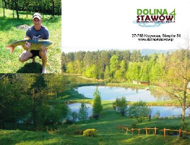 Holiday House in Skopw  51 (Podkarpackie) or holiday homes and vacation rentals