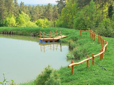 Holiday House in Skopw  51 (Podkarpackie) or holiday homes and vacation rentals