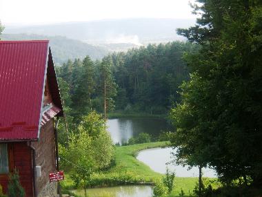 Holiday House in Skopw  51 (Podkarpackie) or holiday homes and vacation rentals