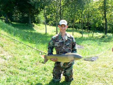 Holiday House in Skopw  51 (Podkarpackie) or holiday homes and vacation rentals