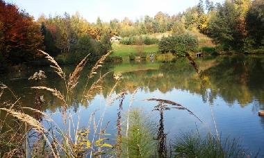 Holiday House in Skopw  51 (Podkarpackie) or holiday homes and vacation rentals