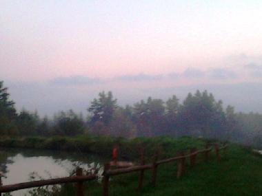 Holiday House in Skopw  51 (Podkarpackie) or holiday homes and vacation rentals