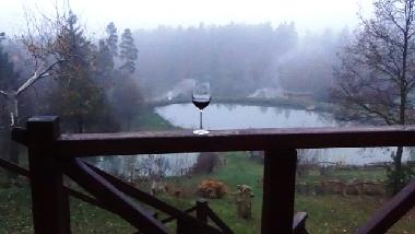 Holiday House in Skopw  51 (Podkarpackie) or holiday homes and vacation rentals