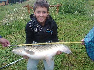 Holiday House in Skopw  51 (Podkarpackie) or holiday homes and vacation rentals