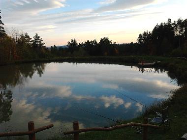 Holiday House in Skopw  51 (Podkarpackie) or holiday homes and vacation rentals