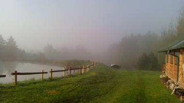 Holiday House in Skopw  51 (Podkarpackie) or holiday homes and vacation rentals