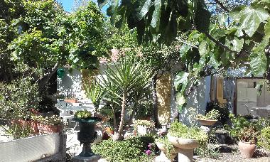 Villa in TOULON (Var) or holiday homes and vacation rentals