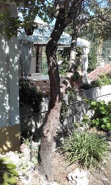 Villa in TOULON (Var) or holiday homes and vacation rentals