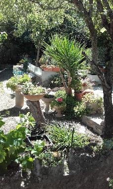 Villa in TOULON (Var) or holiday homes and vacation rentals