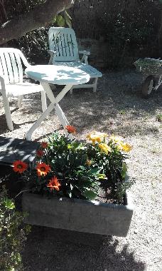 Villa in TOULON (Var) or holiday homes and vacation rentals