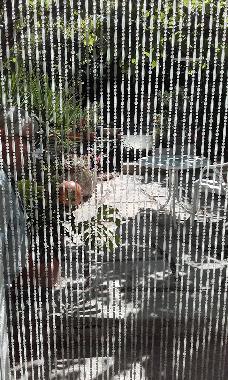 Villa in TOULON (Var) or holiday homes and vacation rentals