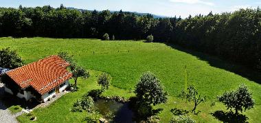 Holiday Apartment in Spiegelau (Lower Bavaria) or holiday homes and vacation rentals