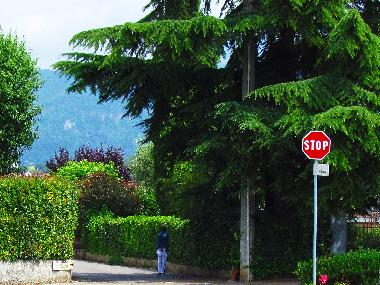 Holiday Apartment in Raffa, Puegnago sul Garda (Brescia) or holiday homes and vacation rentals