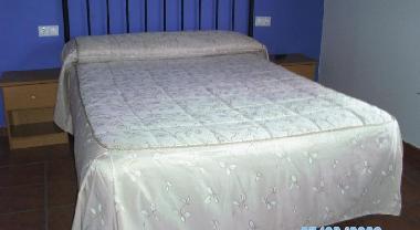 Holiday Apartment in Avin - Onis (Asturias) or holiday homes and vacation rentals