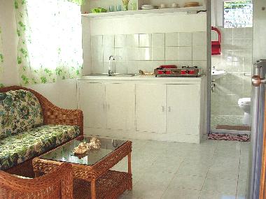 Holiday Apartment in Zamboanguita (Dumaguete) or holiday homes and vacation rentals