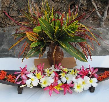 Holiday Apartment in Watamu (Coast) or holiday homes and vacation rentals