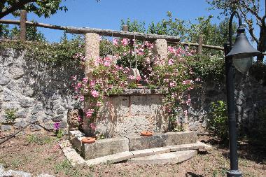 Garden, view of the old pit