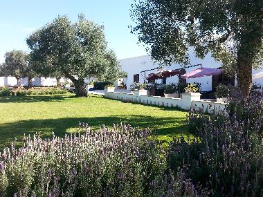 Villa in Monopoli (Bari) or holiday homes and vacation rentals