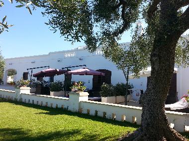 Villa in Monopoli (Bari) or holiday homes and vacation rentals