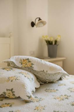 Villa in Monopoli (Bari) or holiday homes and vacation rentals