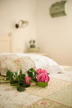 Villa in Monopoli (Bari) or holiday homes and vacation rentals