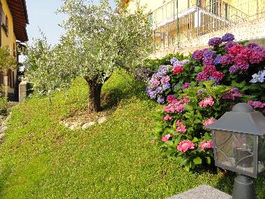 Holiday Apartment in Brezzo  (Varese) or holiday homes and vacation rentals