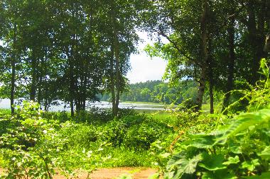 Holiday House in Dobbertin  (Mecklenburgische Seenplatte) or holiday homes and vacation rentals