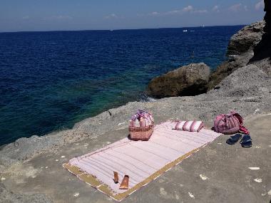 Holiday House in Forio  (Napoli) or holiday homes and vacation rentals
