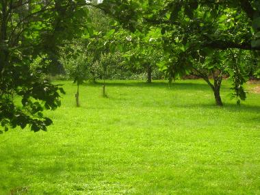 Holiday Apartment in Bad Fssing (Lower Bavaria) or holiday homes and vacation rentals