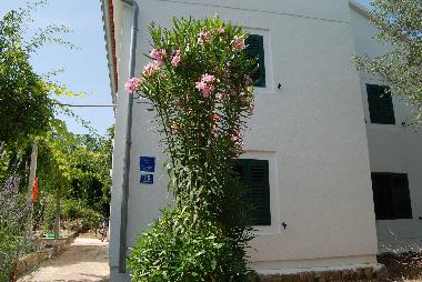 Holiday House in Mali Lukoran (Zadarska) or holiday homes and vacation rentals