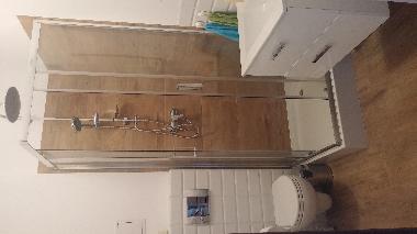 Scandinavian bathroom with shower