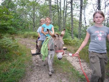 Holiday House in le Bouyssou (Lot) or holiday homes and vacation rentals